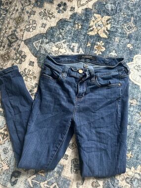 Liverpool Indigo Skinny Jeans - Women's